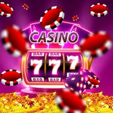 Live French Roulette table on h5.33zk.web with professional croupier and multi-camera studio